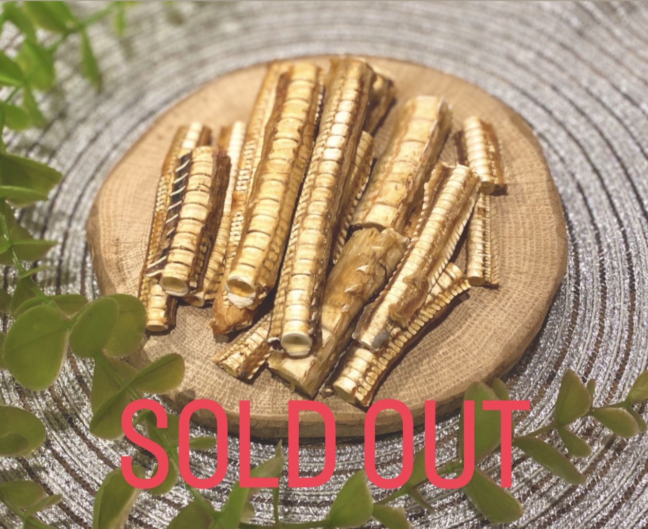 【魚】無添加おやつ　サメ軟骨（小）